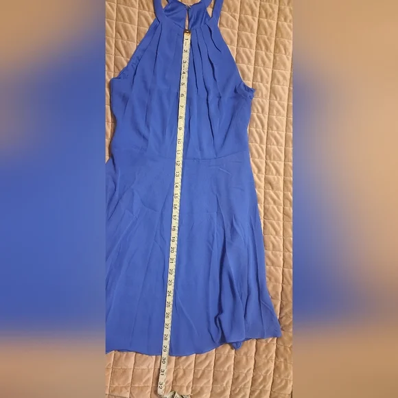 Express periwinkle dress - Picture 6 of 8